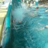 schwimmwoche50