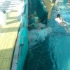 schwimmwoche52