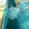 schwimmwoche54