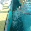 schwimmwoche57
