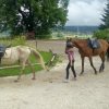 sommersportwoche279
