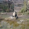 wienwoche325