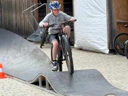 radfest_85