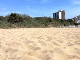 sport_sprachwoche_134